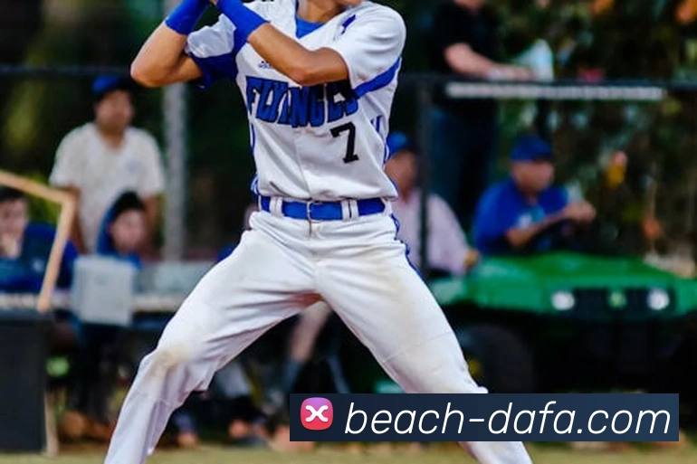 大发彩票平台生态图